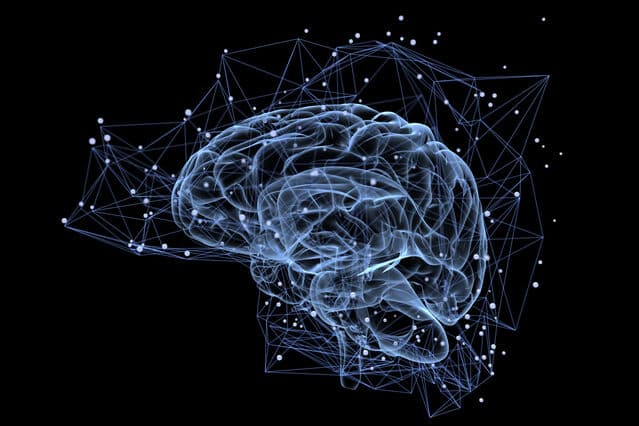 PHI 140 / PSY 140: Psychology and Philosophy of Mind